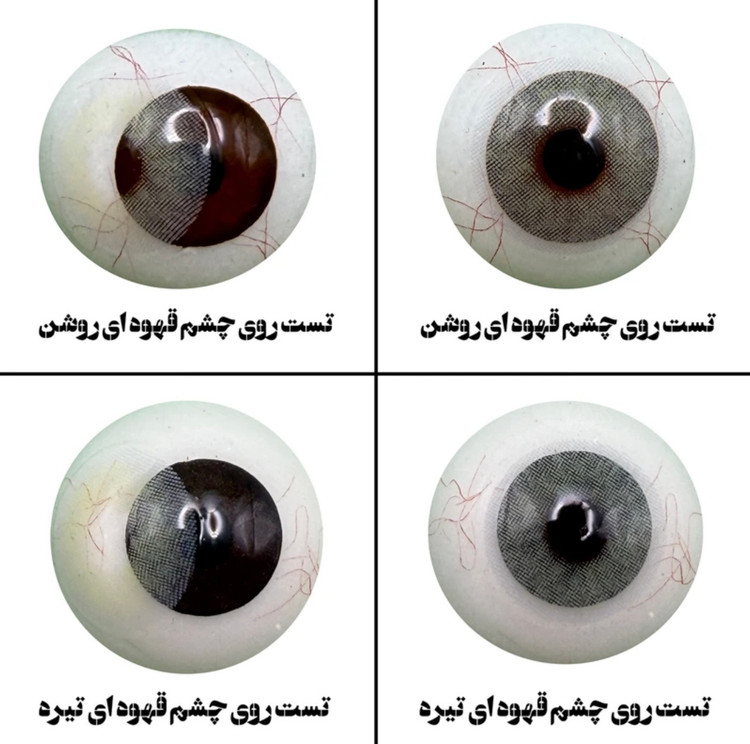 لنز چشم هرا مدل سالانه 06 کد SCA210 رنگ طوسی سبز روشن بدون دور